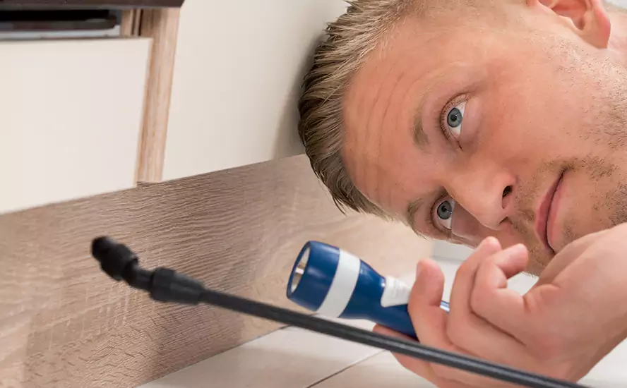 Top-Notch Pest Control in Schertz