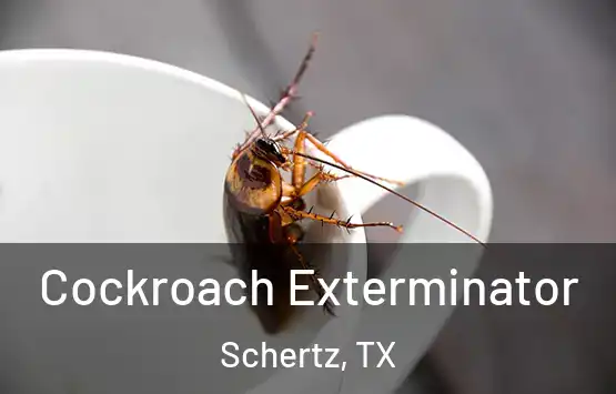  Cockroach Exterminator Schertz, TX