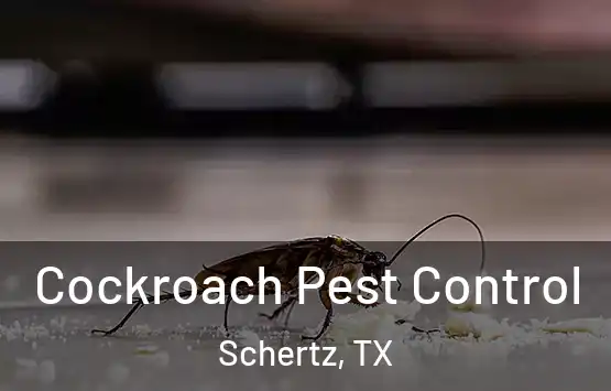  Cockroach Pest Control Schertz, TX
