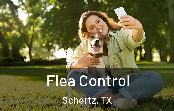  Flea Control Schertz, TX