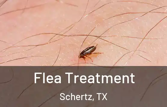 Flea Treatment Schertz, TX