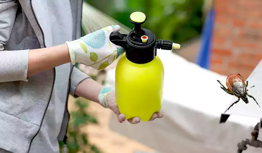 Ticks Pest Control Schertz, Texas