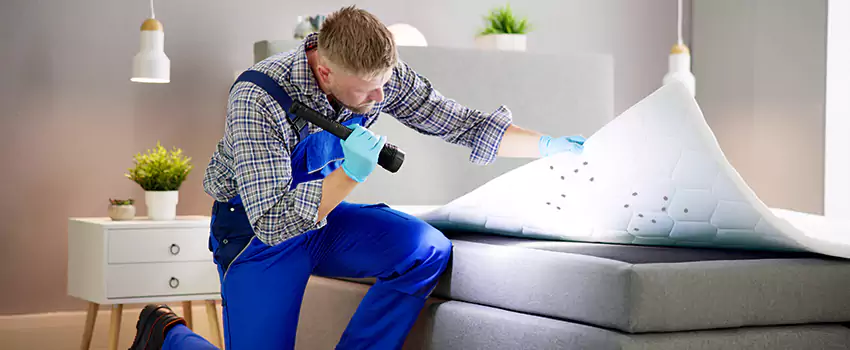 bed-bug-treatment in Schertz, TX