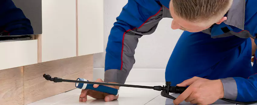 Ant Control for Bedrooms in Schertz, TX