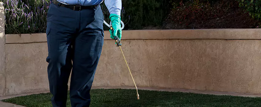 Emergency Pest Extermination for Children and Pets Schertz, TX