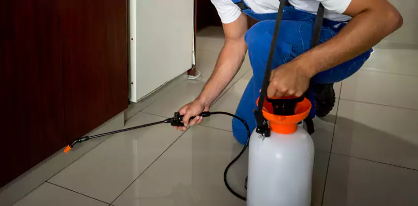 Commercial Flea Exterminator Company in Schertz, TX