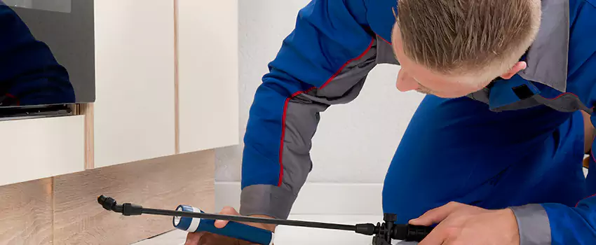 Termite Control for Children and Pets in Schertz, TX