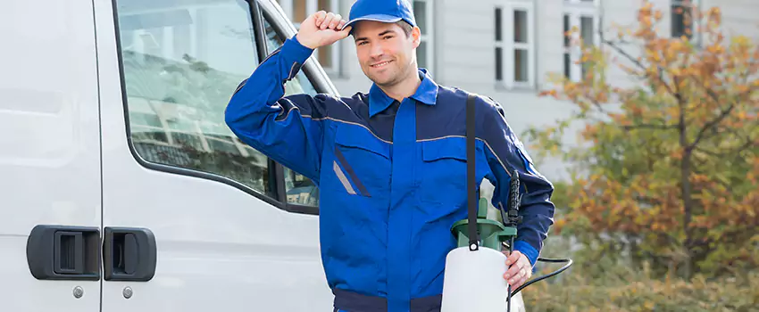 Whitefly Treatment for Bedrooms Schertz, TX