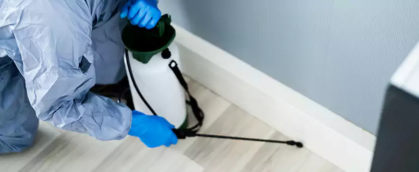 cockroach-exterminator in Schertz, TX