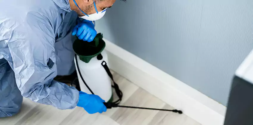 commercial-pest-exterminator in Schertz, TX