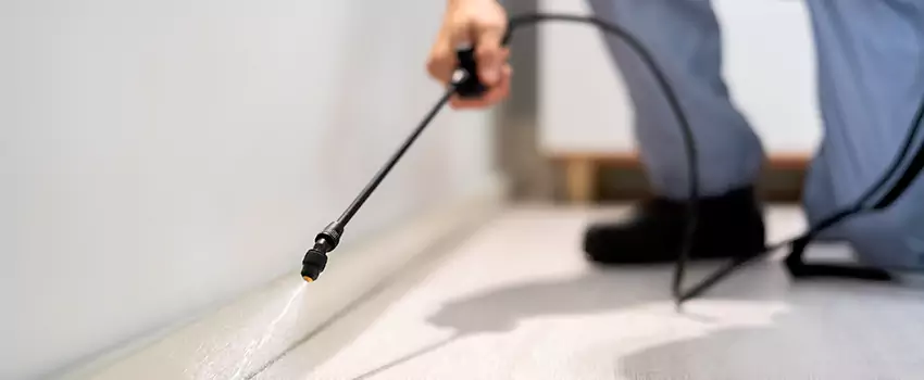 pest-exterminator in Schertz, TX