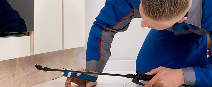 Pest Exterminator Company in Schertz, TX