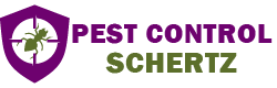 Pest Control Schertz