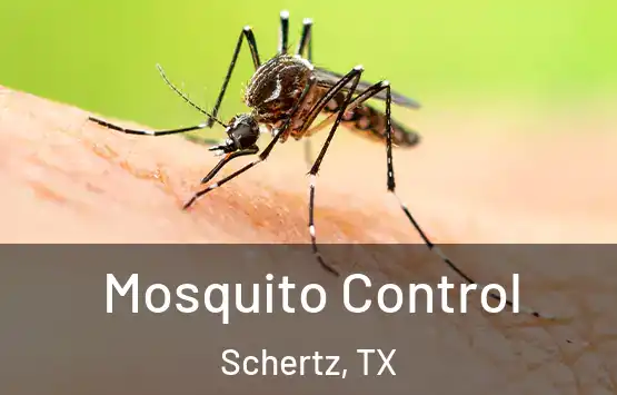  Mosquito Control Schertz, TX