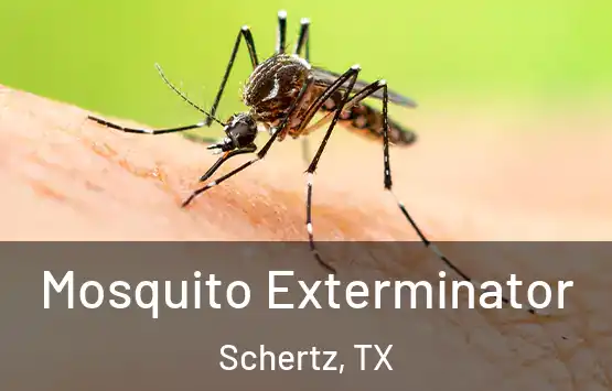  Mosquito Exterminator Schertz, TX