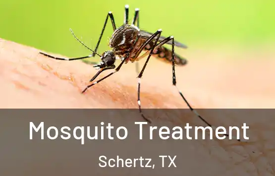  Mosquito Treatment Schertz, TX