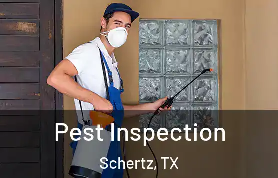  Pest Inspection Schertz, TX