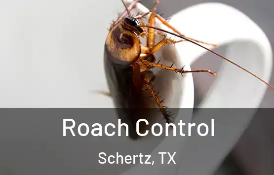  Roach Control Schertz, TX