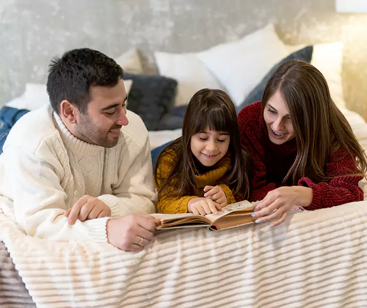 About Bed Bug Pest Control Schertz