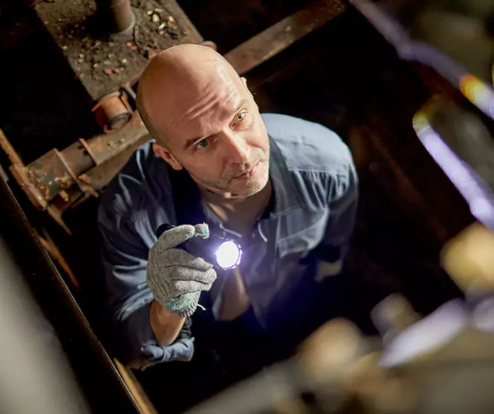 About Pest Inspection Schertz