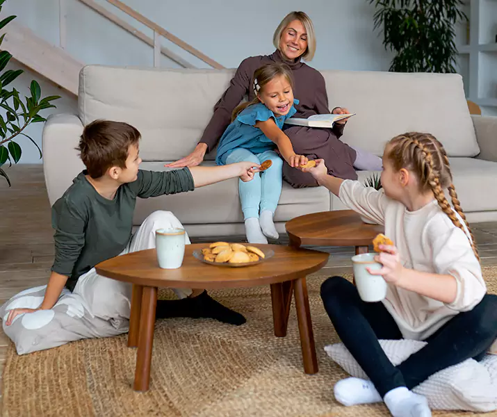 About Spider Exterminator Schertz