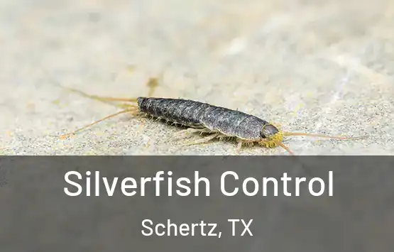  Silverfish Control Schertz, TX