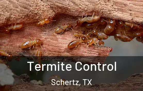  Termite Control Schertz, TX