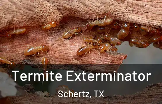  Termite Exterminator Schertz, TX