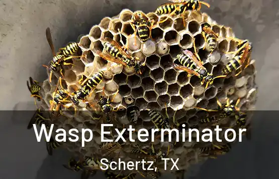  Wasp Exterminator Schertz, TX