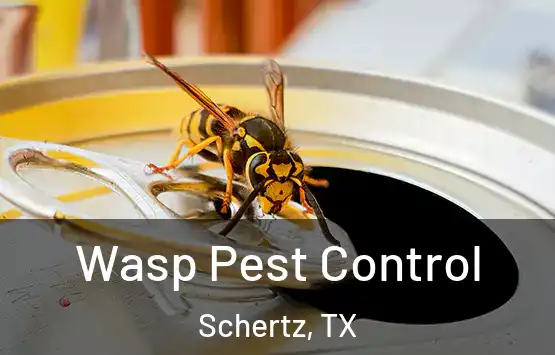  Wasp Pest Control Schertz, TX