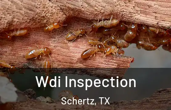  Wdi Inspection Schertz, TX