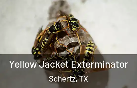  Yellow Jacket Exterminator Schertz, TX
